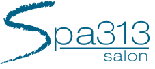spa_313_logo_2016-2